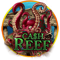 Sgcashreef