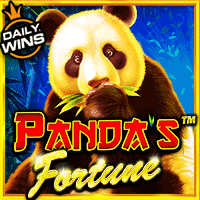 Vs25pandagold T