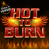 Vs5hotburn T